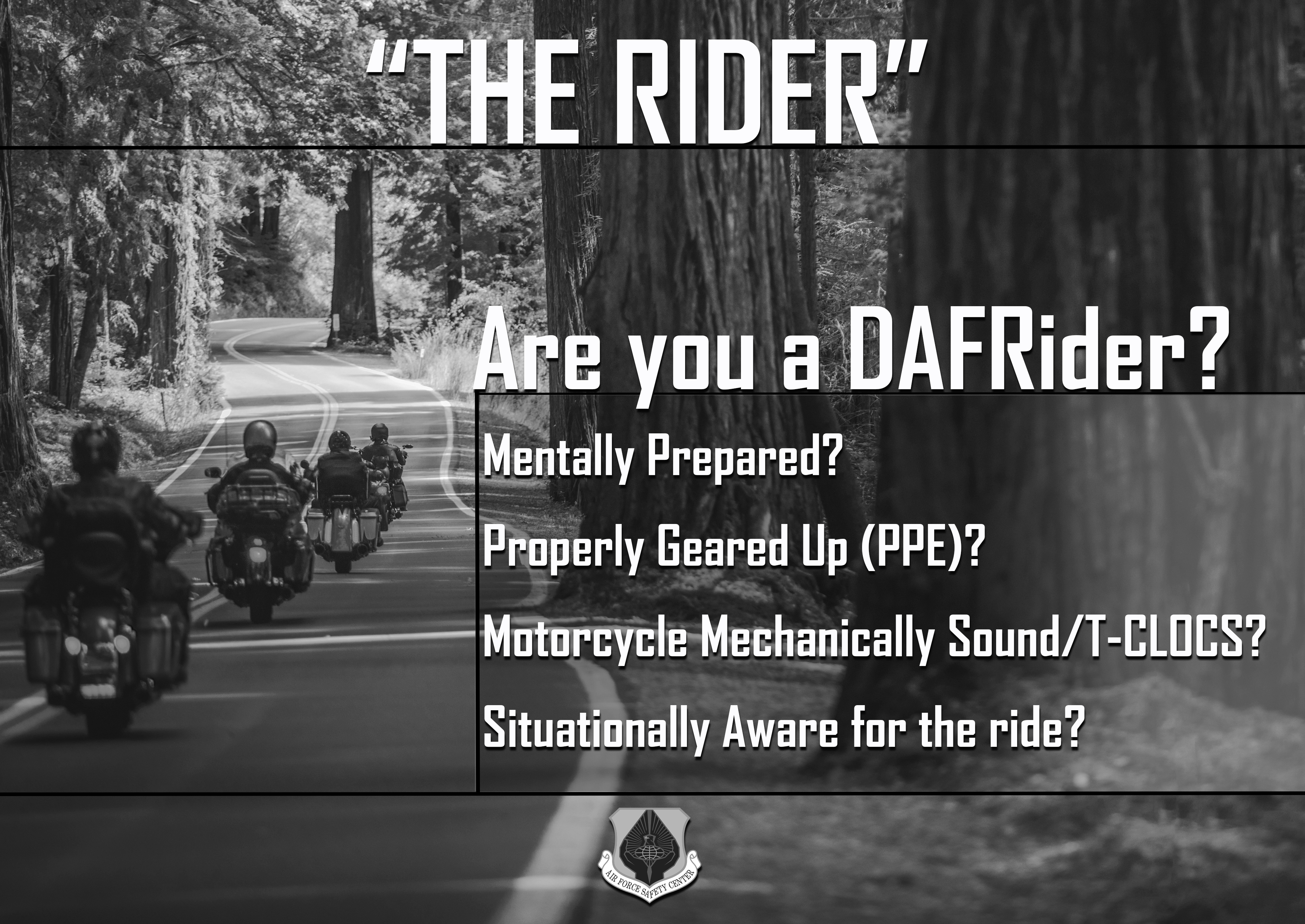 THE RIDER - Are you a DAFRider?